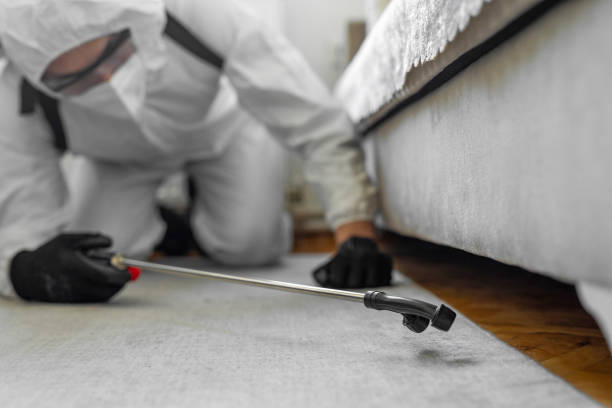 Professional Cockroach Control technician working in Eagle Lake, WI